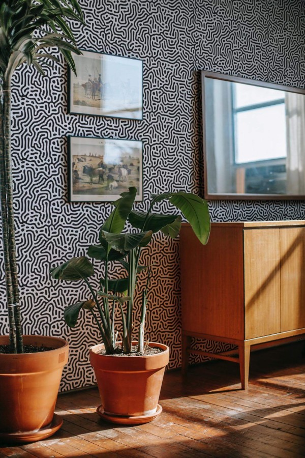 Mid-century modern style living room decorated with Modern organic background peel and stick wallpaper