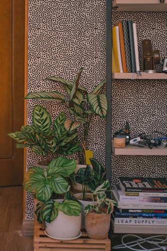 Southwestern style living room decorated with Modern organic background peel and stick wallpaper