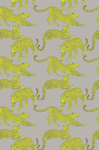 Traditional gray leopard wallpaper by Fancy Walls