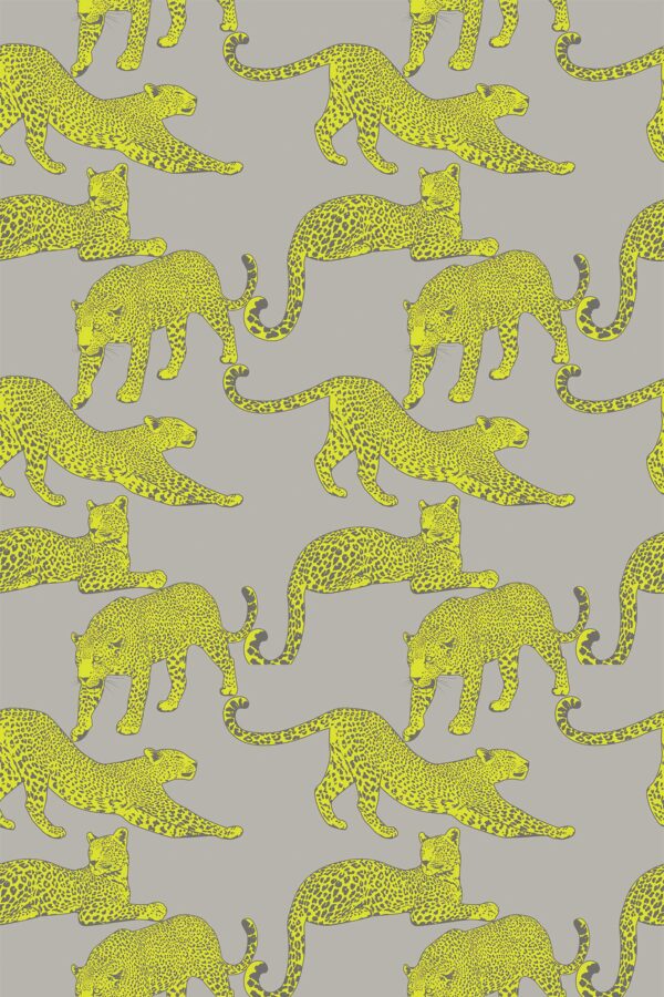 Traditional gray leopard wallpaper by Fancy Walls