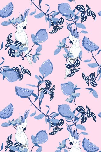 Pattern repeat of Parrot removable wallpaper design