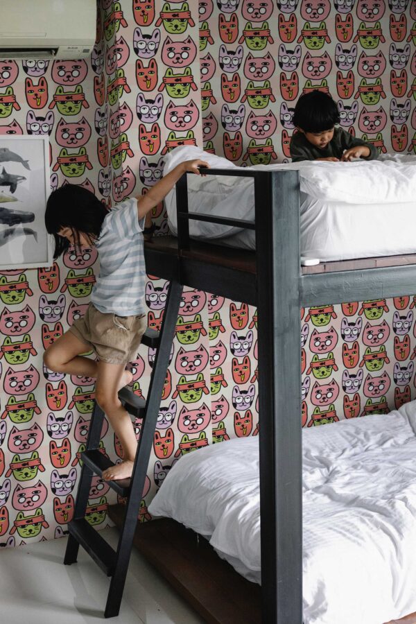 Removable wallpaper in pink with silly cats by Fancy Walls
