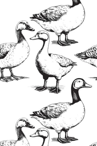 Monochrome duck peel and stick wallpaper by Fancy Walls