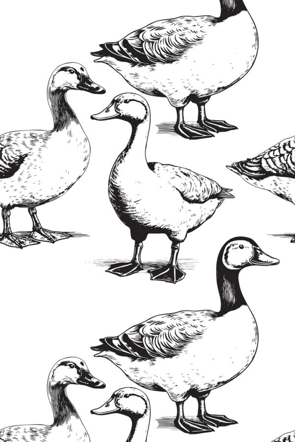 Monochrome duck peel and stick wallpaper by Fancy Walls