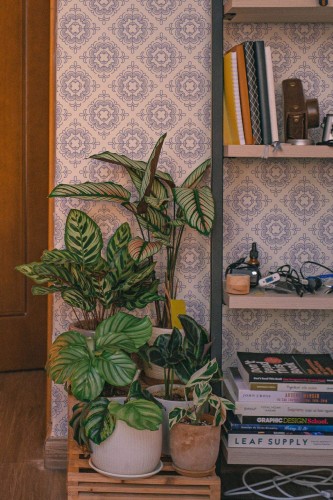 Southwestern style living room decorated with Romantic Tile peel and stick wallpaper