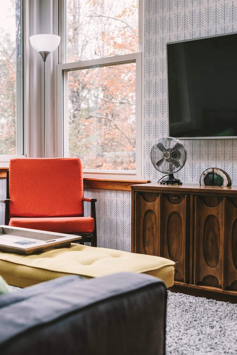 Rustic style living room decorated with Scandinavian trees peel and stick wallpaper
