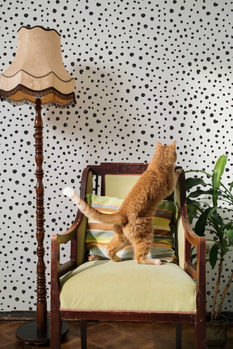Fancy Walls removable wallpaper featuring monochrome dotted pattern