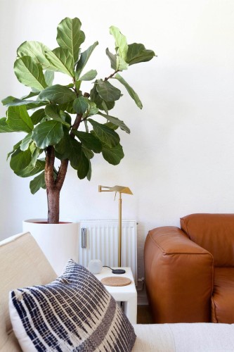 Mid-century style living room decorated with Solid White peel and stick wallpaper