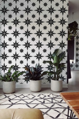 Self-adhesive wallpaper showcasing Monochrome Star Elegance by Fancy Walls