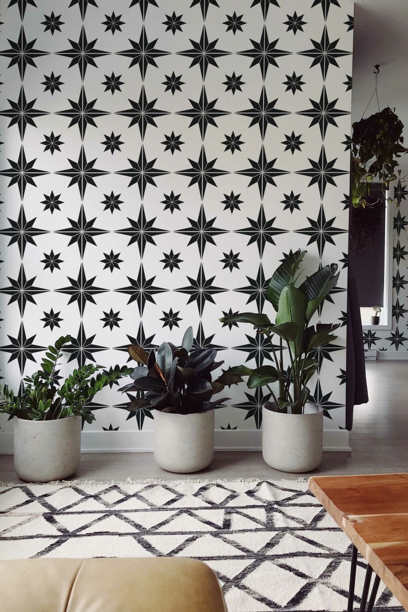 Self-adhesive wallpaper showcasing Monochrome Star Elegance by Fancy Walls