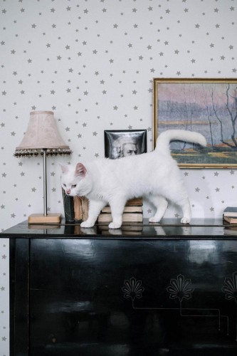 Industrial style music room decorated with Stars peel and stick wallpaper