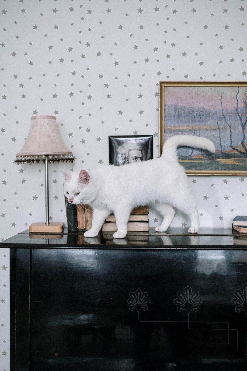 Industrial style music room decorated with Stars peel and stick wallpaper
