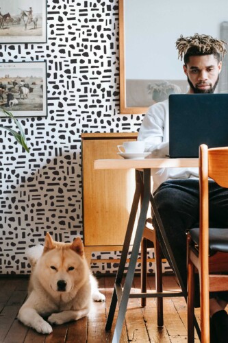 Fancy Walls traditional wallpaper with bold geometric stripes and dots