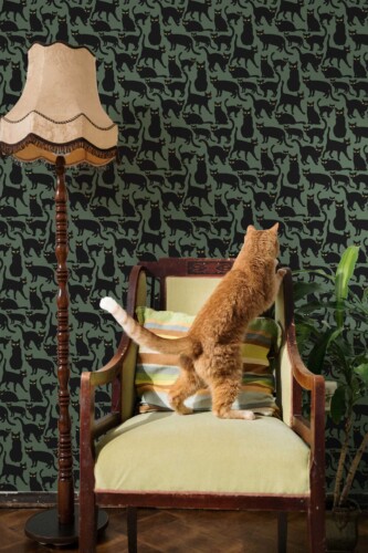 Fancy Walls removable wallpaper with elegant black cats and green eyes creating a mysterious aesthetic.