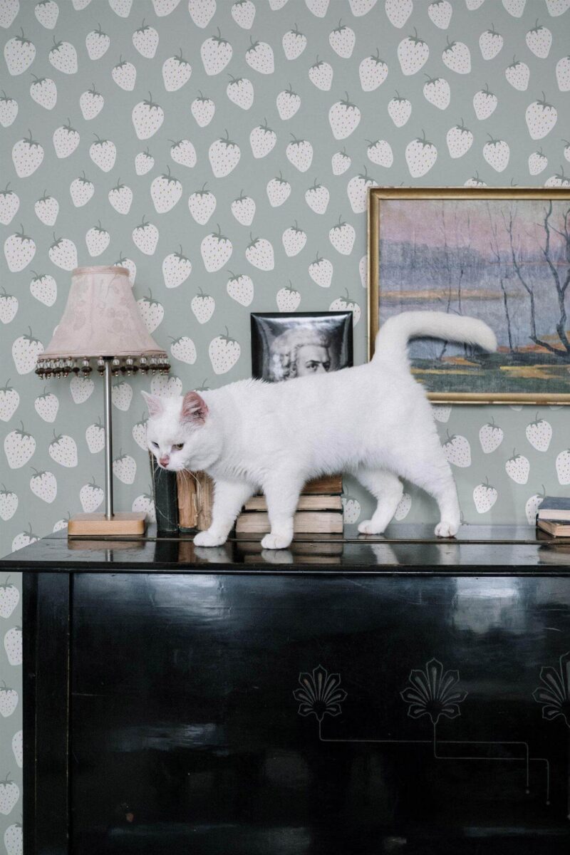White and green strawberry peel and stick wallpaper in a cozy vintage room with cat on piano
