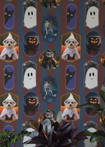 subscribe to fancy walls newsletter halloween style design