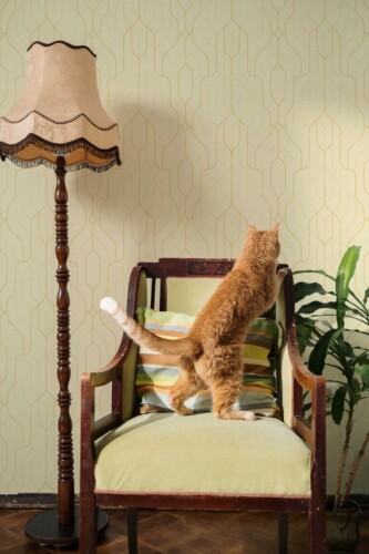 Sunny Art Deco peel and stick or non-pasted wallpaper. Self-adhesive or traditional elegant wallpaper designed by Fancy Walls