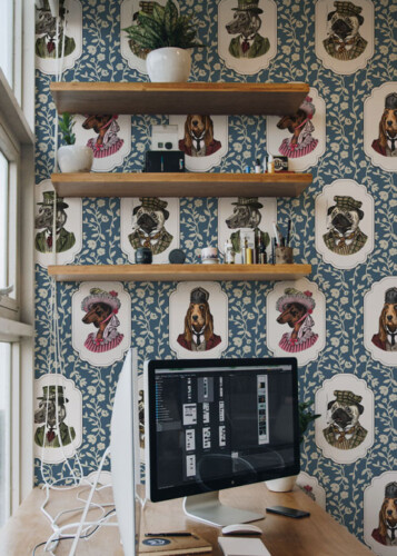 subscribe pop up for black friday