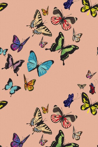 Fancy Walls removable wallpaper with bold dusty rose butterfly design.