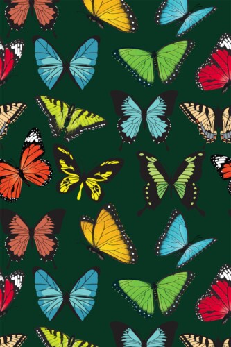 Fancy Walls removable wallpaper with bright colorful butterflies and emerald base.