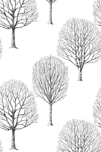 Fancy Walls removable wallpaper showcasing Scandinavian birch forest design ideal for calm natural home decor.