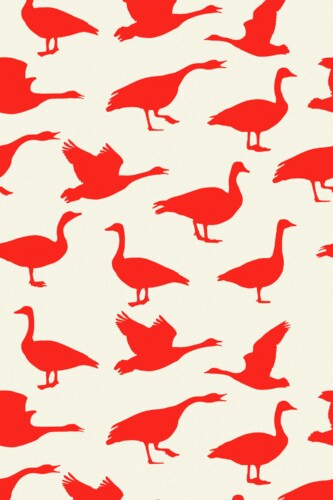 Fancy Walls peel and stick wallpaper featuring playful red Canada goose silhouettes on a cream background.
