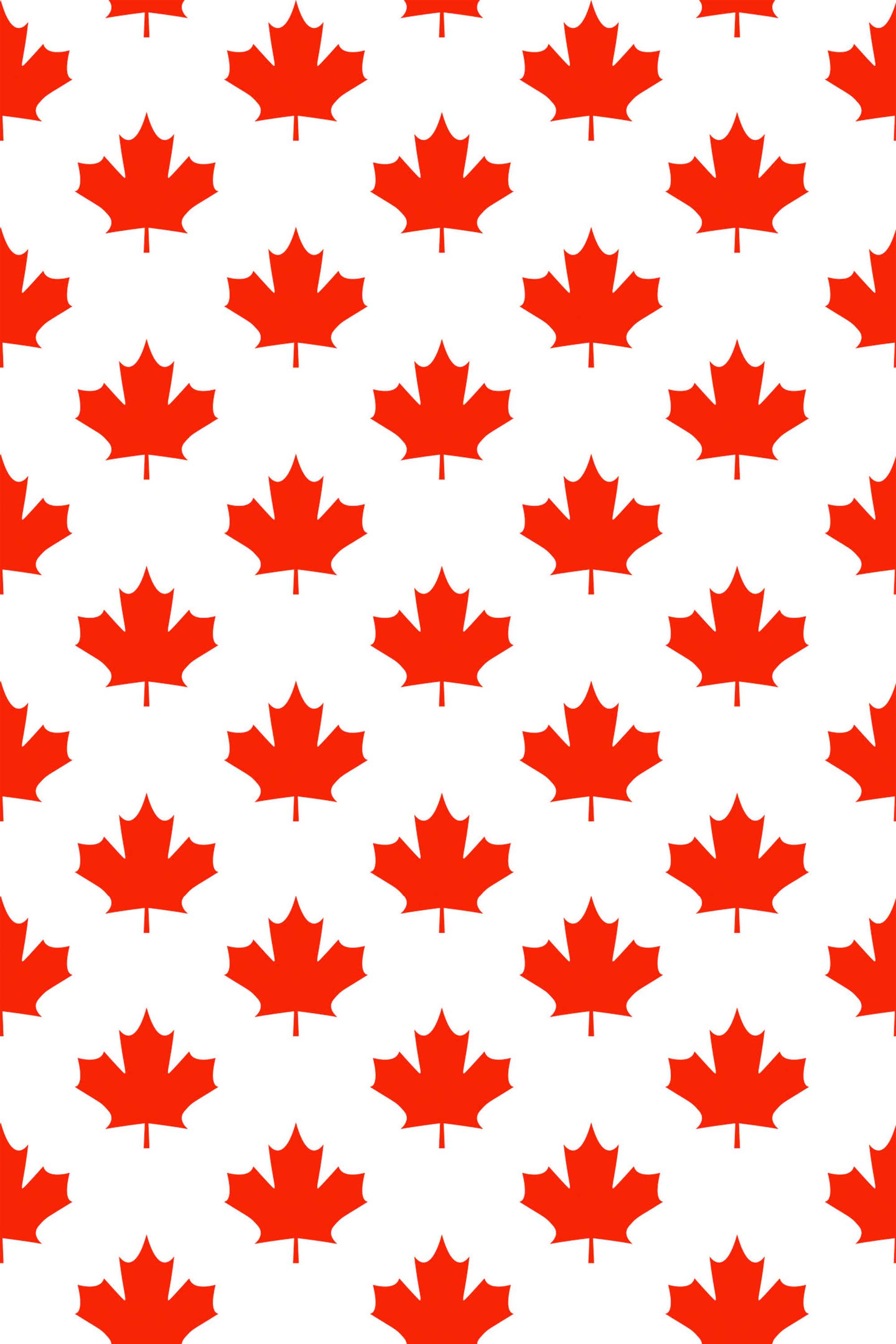 Fancy Walls removable wallpaper showcasing repeating red maple leaf motifs in a national style.