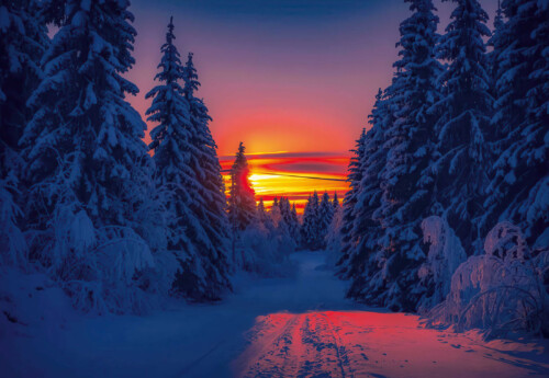 Finland Winter Sunset premium canvas print
