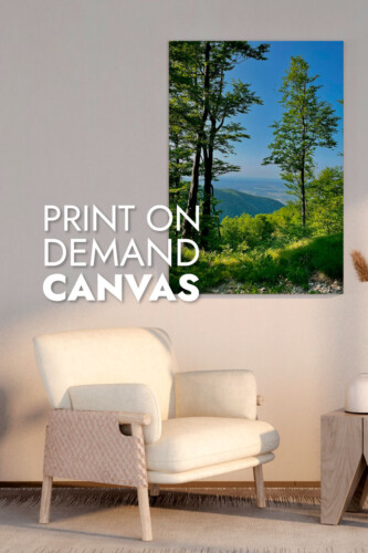 print on demand canvas prints example