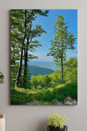 fancy walls print on demand canvas