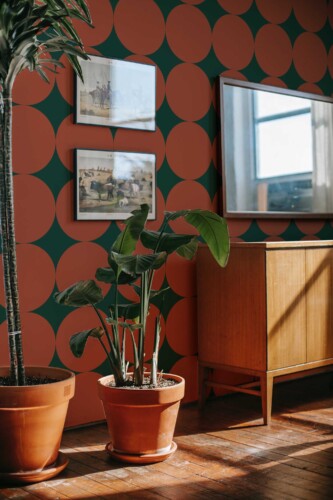 Fancy Walls self-adhesive wallpaper featuring large terracotta circles with striking green contrast.