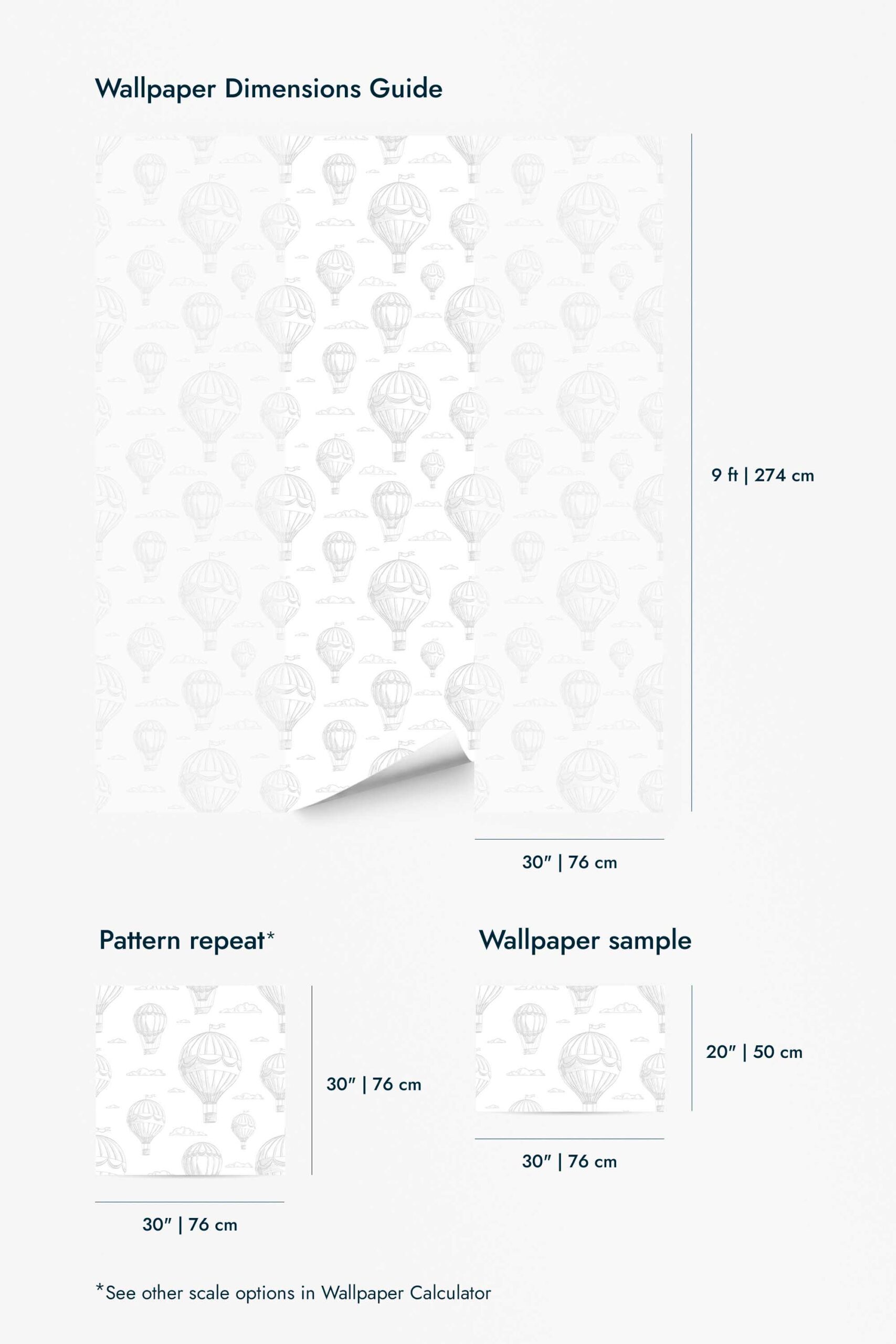 Air balloon Wallpaper