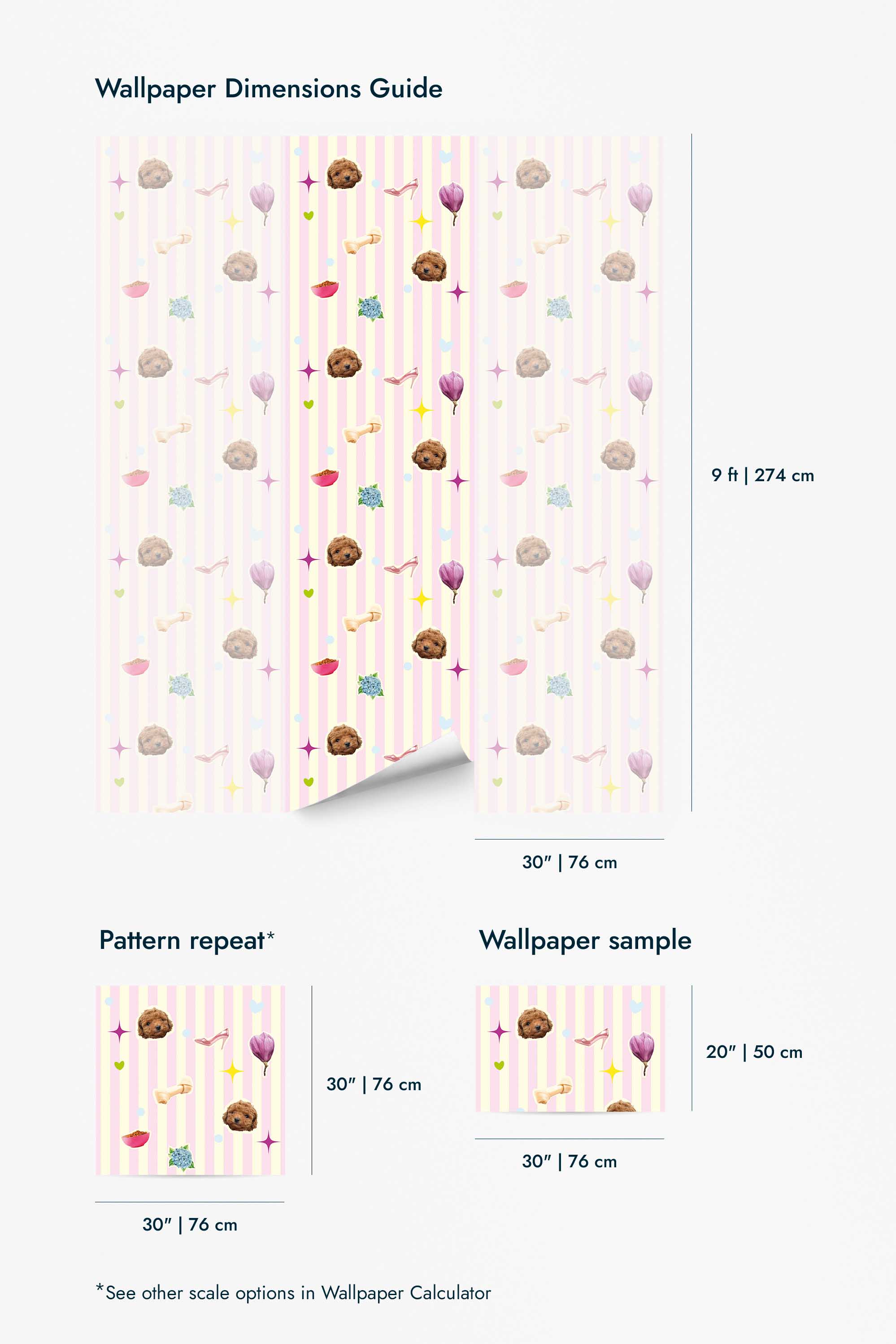 Toy Poodle Wallpaper