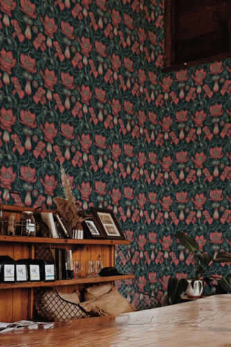 dark academia peel and stick wallpaper collection