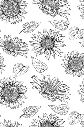 Fancy Walls self-adhesive wallpaper featuring elegant handdrawn sunflower illustration in black and white