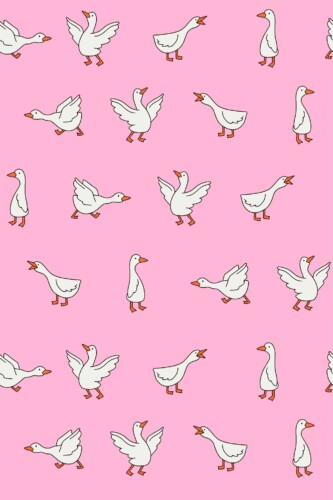 Fancy Walls traditional wallpaper highlighting uplifting bird motif on vibrant pink