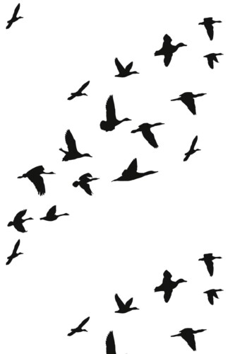 Fancy Walls removable wallpaper with sleek monochrome goose silhouettes design