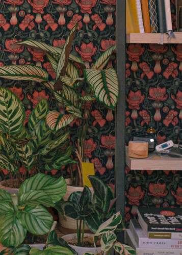 dark academia fancy walls floral peel and stick wallpaper