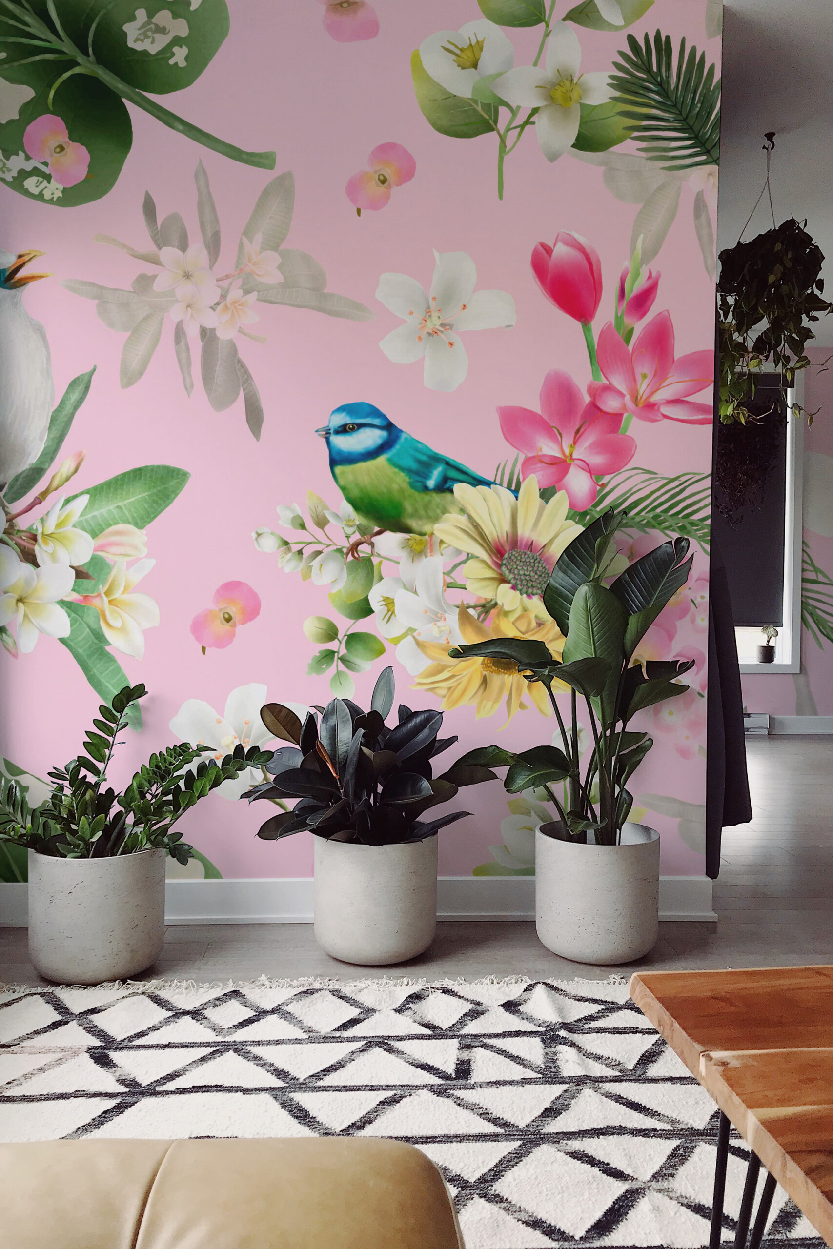 Exotic Bird Haven traditional non-pasted wall mural with colorful birds and floral branches in pink botanical style for girls bedroom décor, available in custom sizes