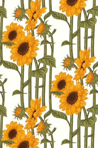 Removable wallpaper by Fancy Walls with illustrated sunflowers in green and yellow for bright garden inspired spaces
