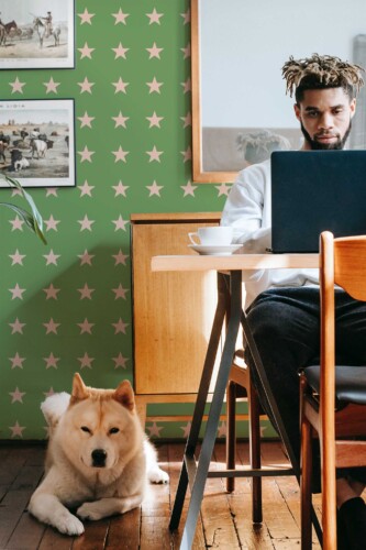 Fancy Walls self-adhesive wallpaper featuring green background and beige star pattern for calm kids rooms