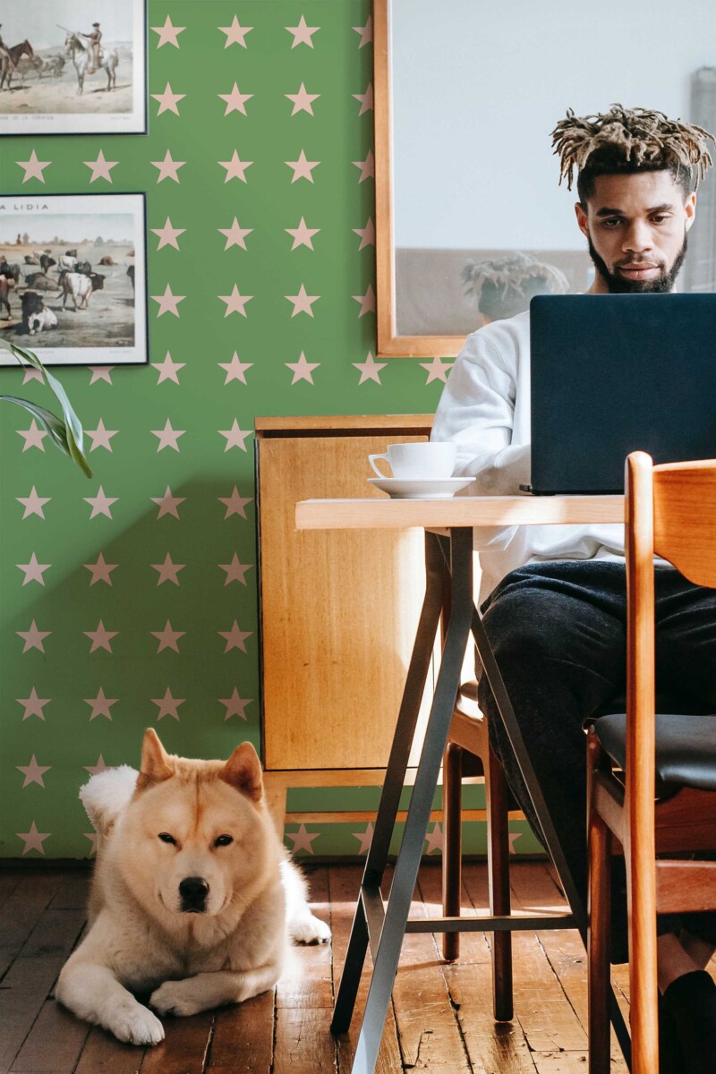 Fancy Walls self-adhesive wallpaper featuring green background and beige star pattern for calm kids rooms