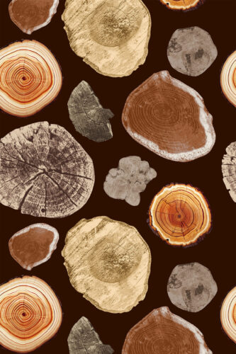 Bold Brown Wood Slice removable wallpaper with scattered tree ring cross-sections in tan, rust, and gray on a dark brown background.