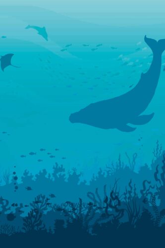 Tranquil Sea Silhouettes shows a custom removable wallpaper mural of a deep blue ocean scene with whales, fish, and seaweed silhouettes.