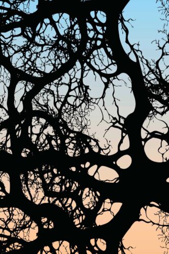 Moody Branch Canopy peel and stick wallpaper mural with black tree branches silhouetted against a soft gradient sky background.