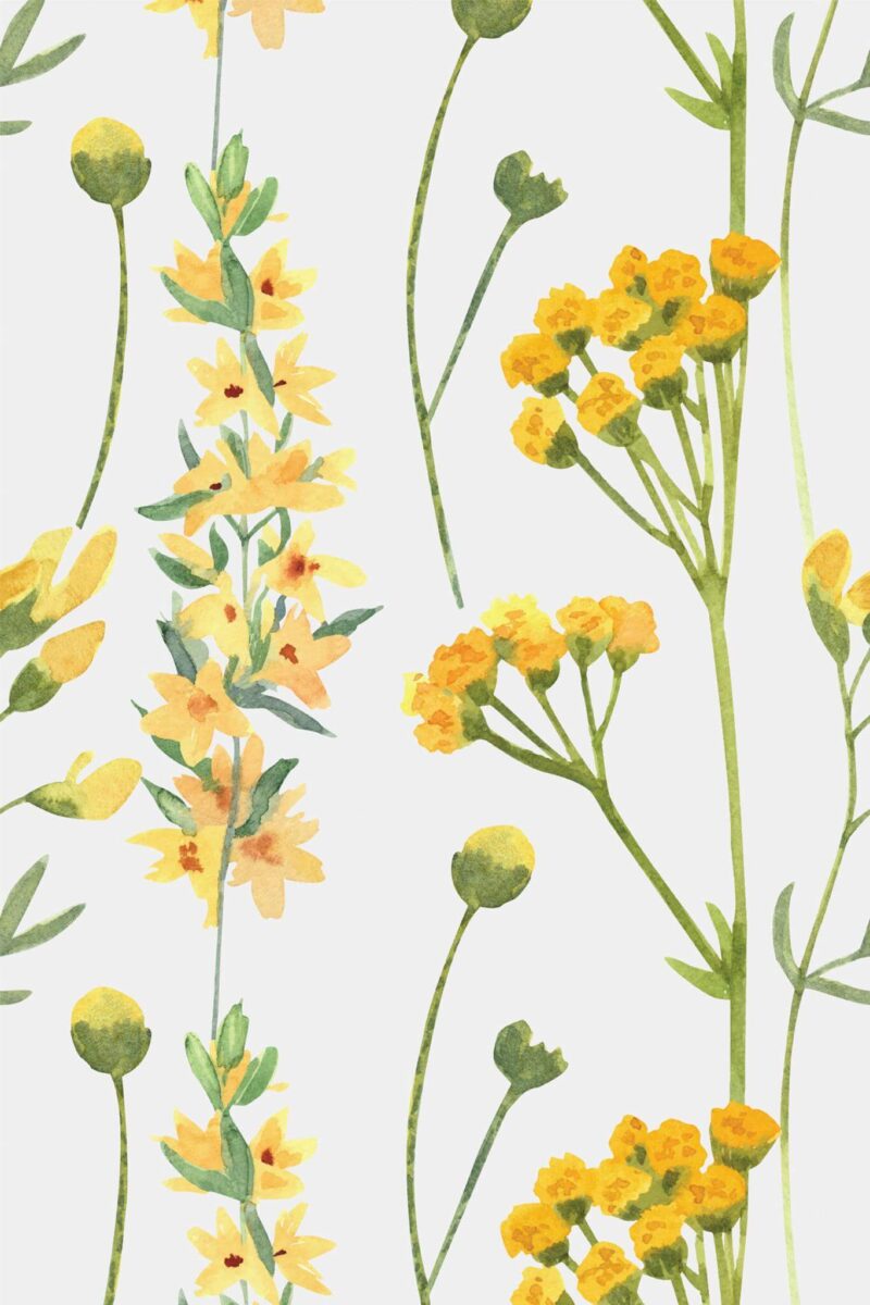 Wallpaper with yellow meadow flowers