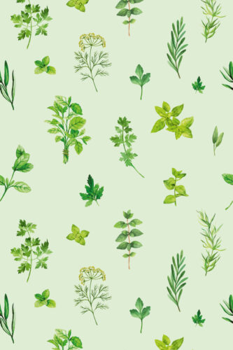 Delicate Green Herb removable wallpaper with scattered watercolor herb sprigs and leafy stems on a pale mint background.