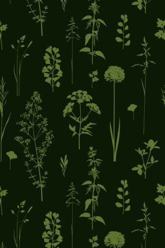 Green Botanical removable wallpaper featuring light green meadow herbs and wildflower silhouettes on a deep forest-green background.