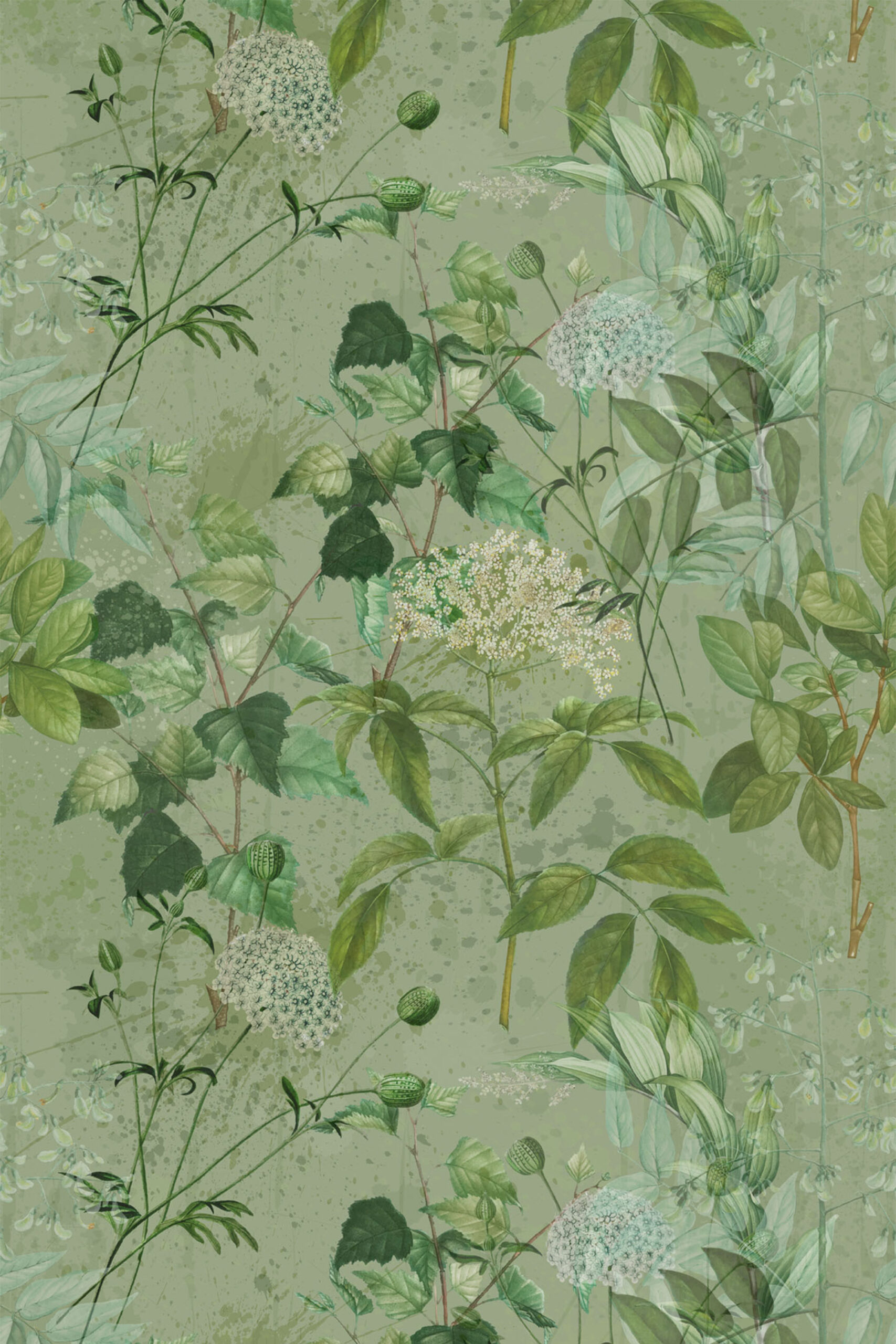 Dreamy Sage Botanical removable wallpaper with layered sage-green leaves and delicate white flower clusters on a speckled ground.