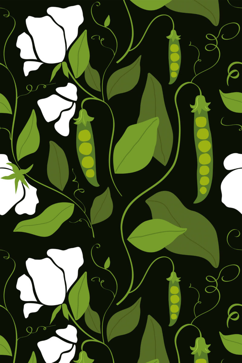 Black botanical wallpaper with green pea pods, vines, and white flowers